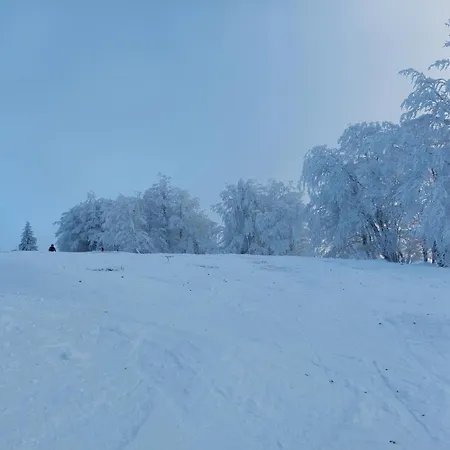 Haus Brailen In Alme Prázdninový dům Brilon