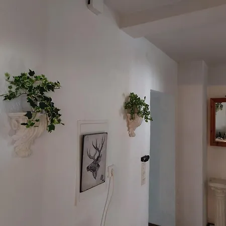 Holiday home Haus Brailen In Alme *