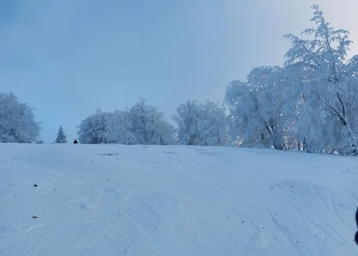 Haus Brailen In Alme Сasa de vacaciones Brilon